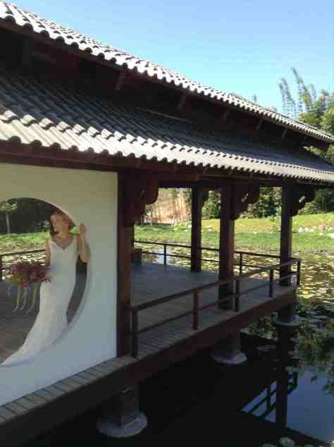 138AAB94-E20B-43EF-A7CD-A978CC246A84