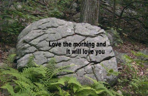 morning love boulder